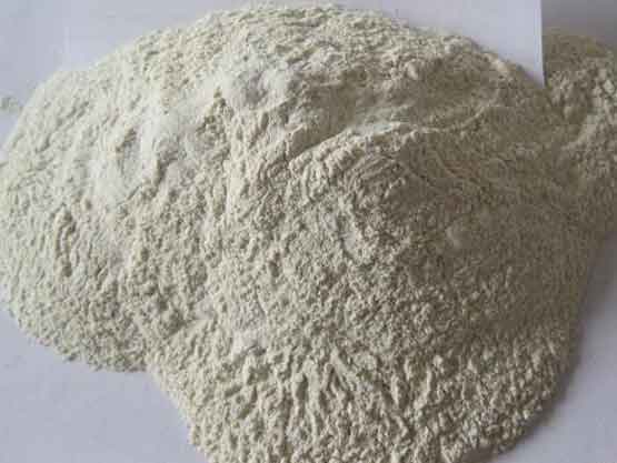 bentonite clay