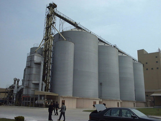 soyabean storage silo