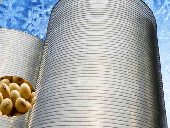 storage silo for storing pea