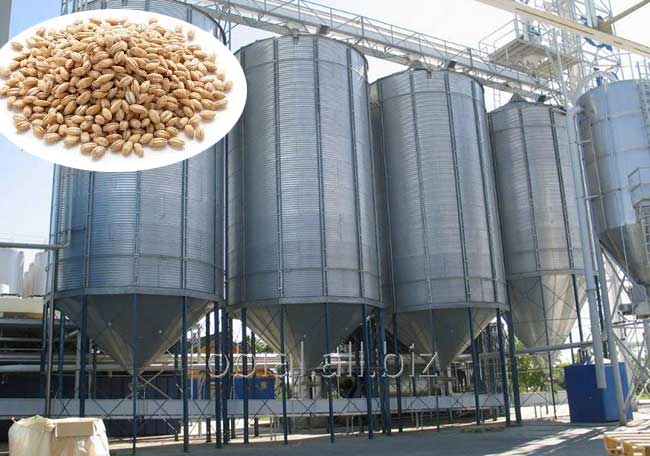 steel silo for storing barley 